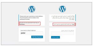 رمز عبور در وردپرس