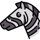 آپدیت گوگل zebra