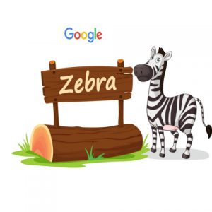 آپدیت گوگل zebra