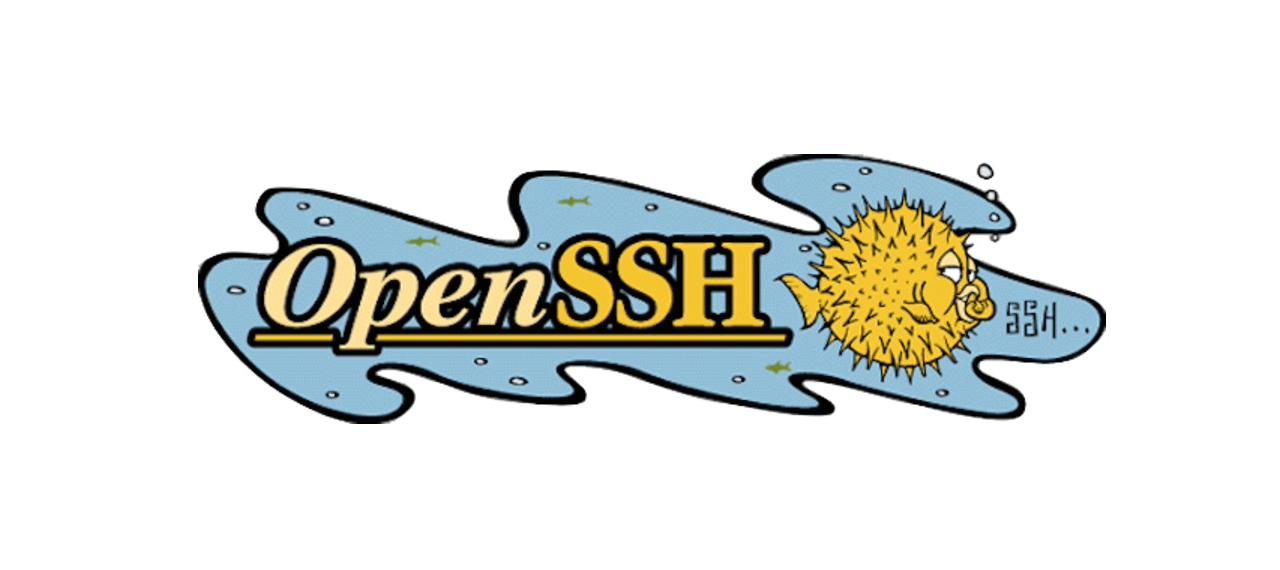  امنیت برنامه OpenSSH