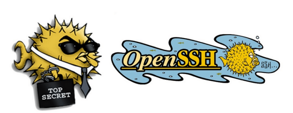 امنیت برنامه OpenSSH