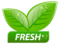 معرفی الگوریتم تازگی محتوا (Freshness Algorithm)